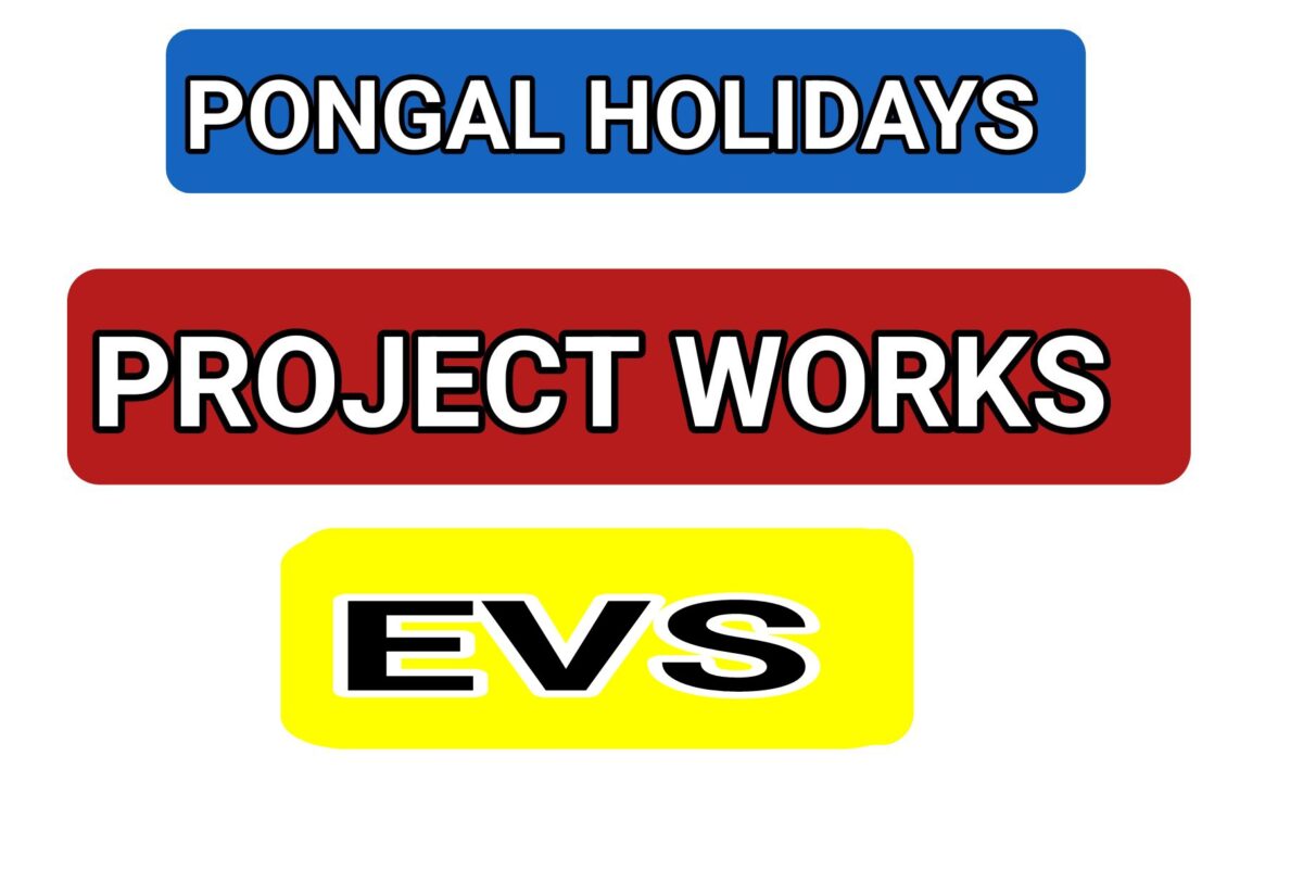 EVS PROJECT WORKS FOR PRIMARY LEVEL