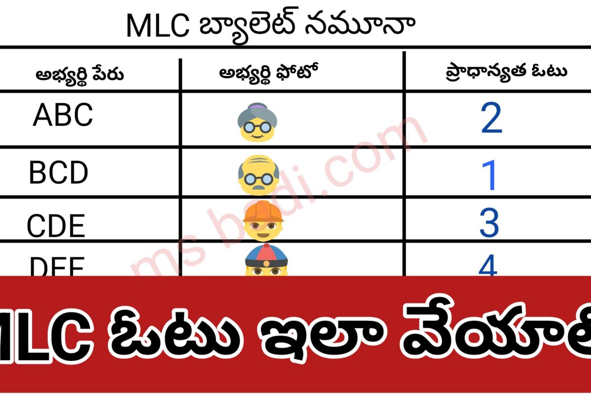 TEACHER GRADUATE MLC VOTING PROCESS